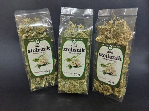 Čaj od stolisnika