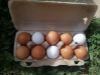 Svježa jaja iz podnog uzgoja A klasa, razred M 10/1