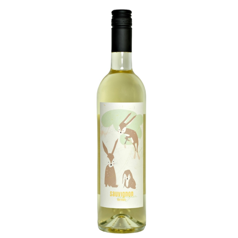 Slika Sauvignon 0,75 l