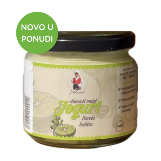 Slika Domaći voćni jogurt - limeta kaktus 350 g