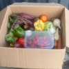 Slika Svježa povrtna košarica 10 kg