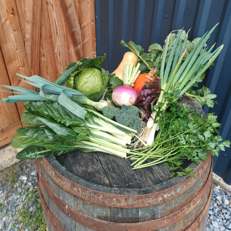 Slika Zelena svježa povrtna košarica 7 kg